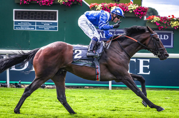 Baaeed is the 2022 European Horse of the Year - image Shadwell