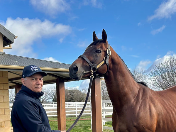 Benbatl (GB) is an impressive horse with a great attitude, click for more info. 