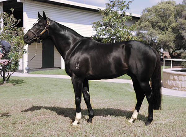 Better Than Ready has sired more two year old winners than any other sire this season.