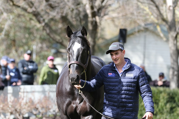 Bruckner will have yearlings at the 2026 sales.