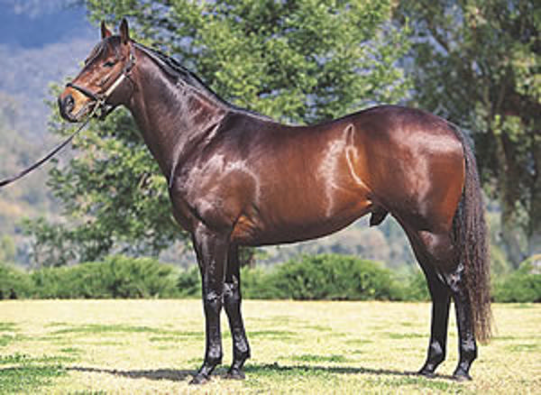 Golden Slipper winner Canny Lad stood at Woodlands from 1991 and covered his last mares in 2011.