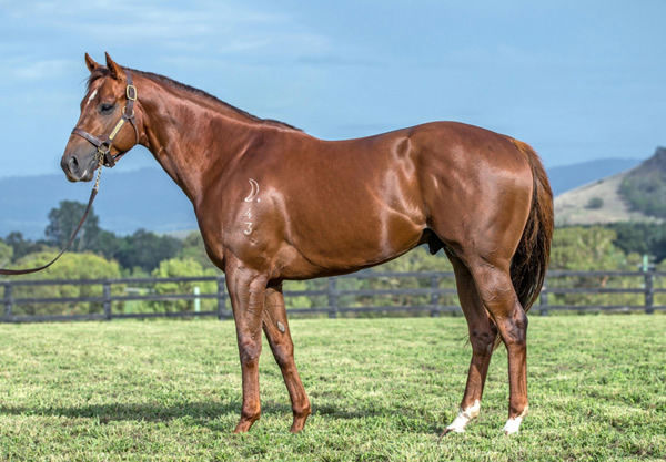A positive test to Capitalist was the icing on the cake for Agueda, who was bought for $320,000,. 