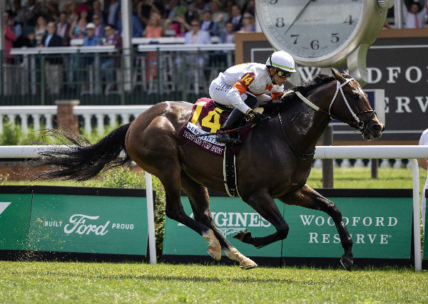 Cogburn(USA) will shuttle to Widden Stud in 2025.