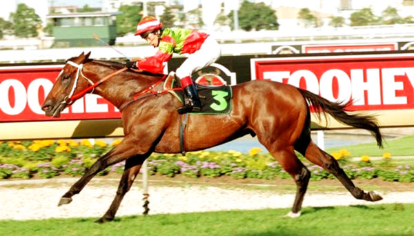 Five time G1 winner Danewin sired Dane Belltar.  