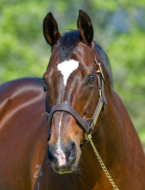 Danewin has passed away at the impressive age of 29.