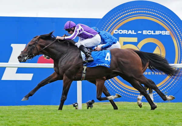 Delacroix has been retired to stud, 