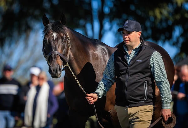 Diatonic (Jpn)