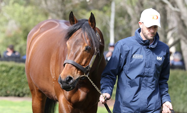 Doubtland has promising 3YOs this season.  