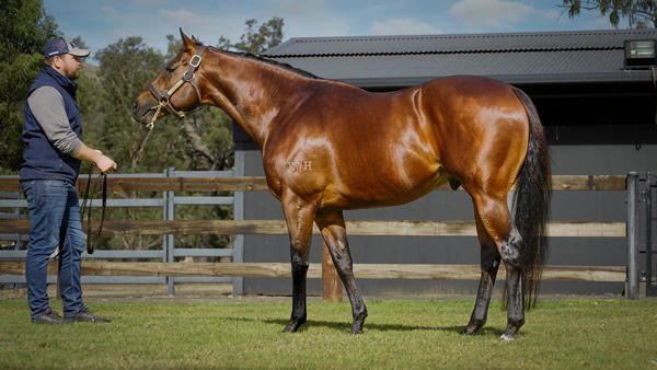 Dubious sired his third winner at Mackay on Tuesday with a win for Caracristi.