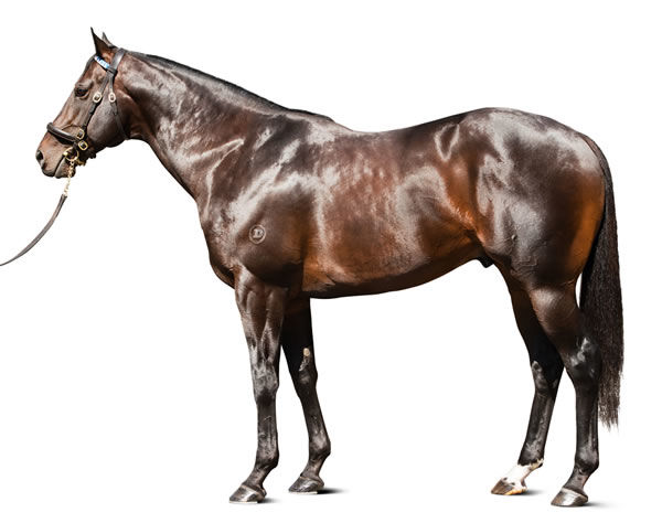 Exosphere is the sire of Neon Moon