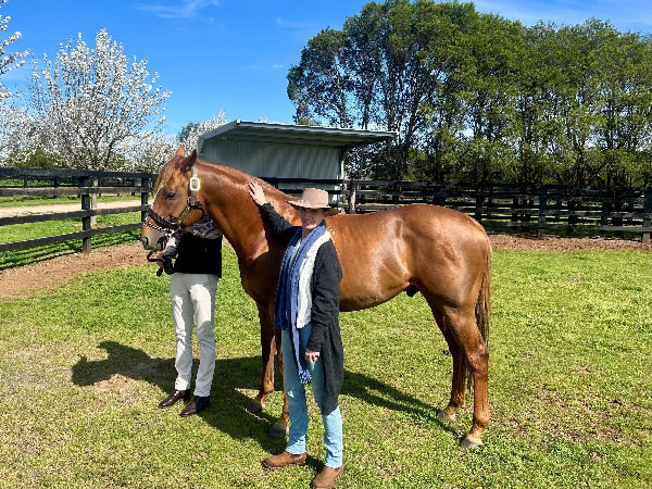 Extreme Choice pictured with Tara Madgwick at Newgate Farm this spring. 