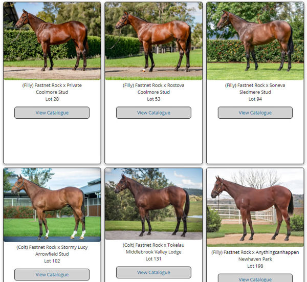 Click here to see his 2021 Inglis Australian Easter Sale yearlings