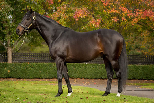 2013 Melbourne Cup winner Fiorente has sadly lost his battle with illness.