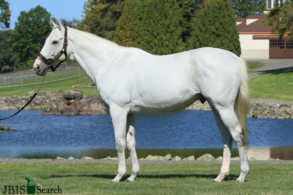 The charismatic Gold Ship gets his first Group 1 winner 