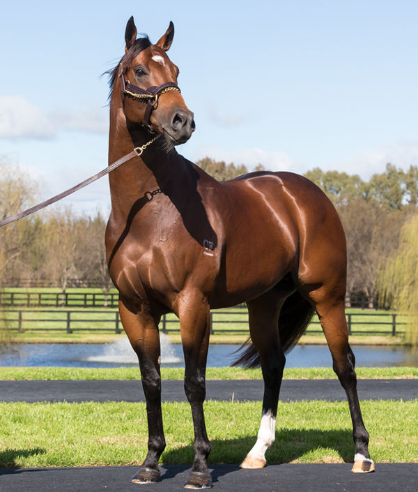 A first stakes-winner for Headwater