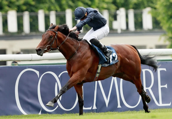 Henri Matisse was a G1 winner at two and three.