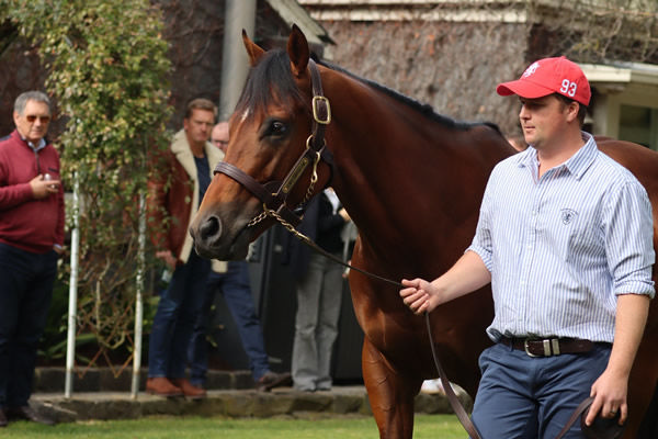 Henry Longfellow (IRE) is a G1 winning 2YO by Dubawi, click for more info.