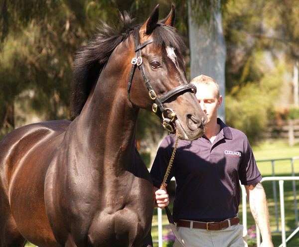 Epsom Derby winner High Chaparral (IRE) has made a huge impression on our racing and breeding industry. 