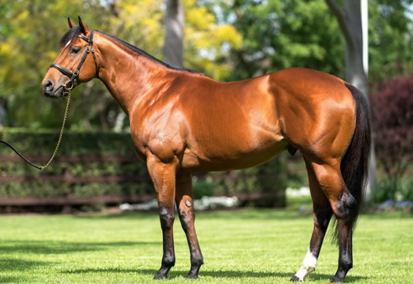 Home Affairs was the busiest first season sire in 2022.