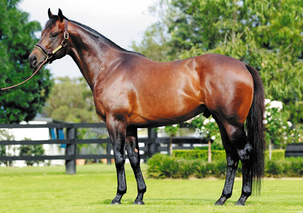I Am Invincible stands at a fee of $209,000