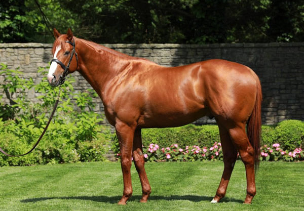 Justify, click for more information.