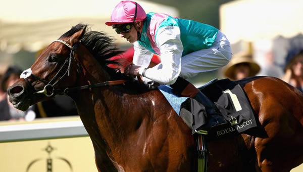 Kingman was the 2014 European Horse of the Year and Champion 3YO 