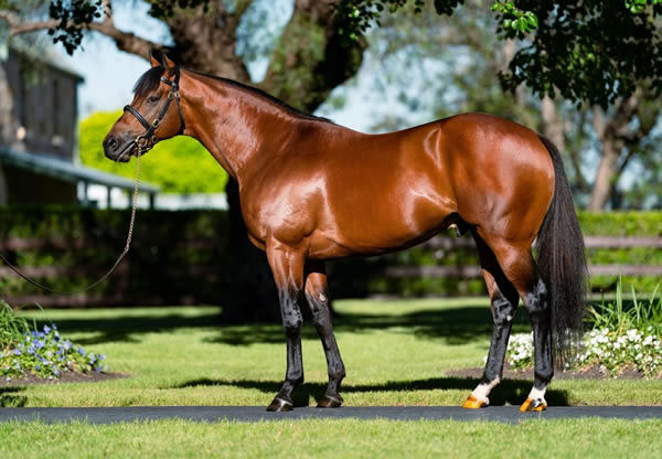 King's Legacy was the busiest first season sire in 2021.