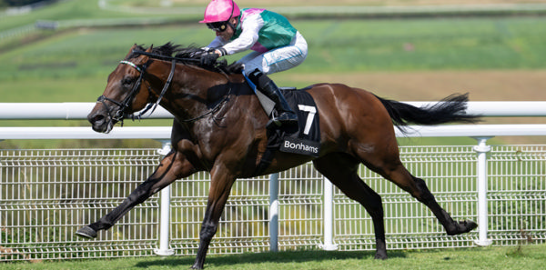 Lead Artist (GB) will shuttle to Arrowfield in 2026.