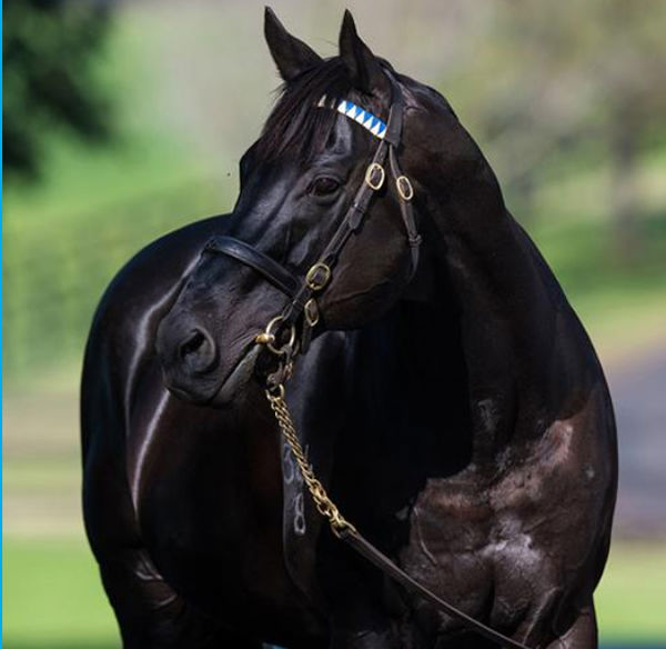 Much loved Lonhro is set to leave a lasting legacy.