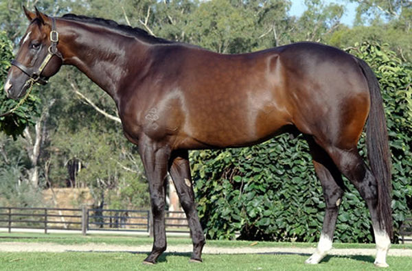 Master of Design is the sire of The Mitigator