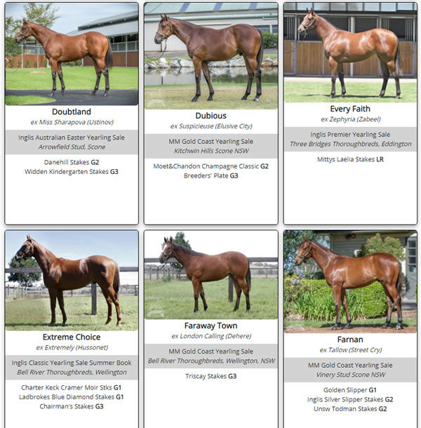 Click here for a gallery of Not A Single Doubt stakes winners as they were as yearlings.