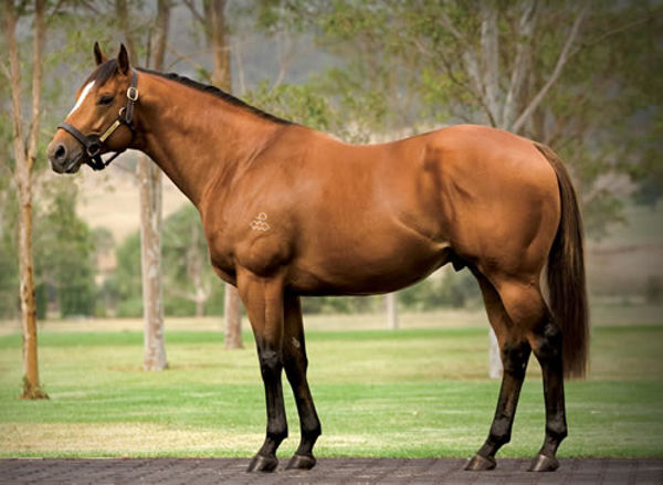 Not a Single Doubt is the sire of Deniki