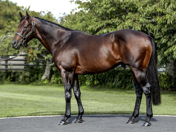 a big day at Eagle Farm for Ocean Park with daughter Tofane winning the Tatts Tiara and his half-sister Ruqqaya the dam of Zayydani 