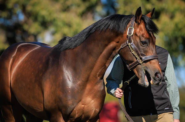 Panthalassa (Jpn)