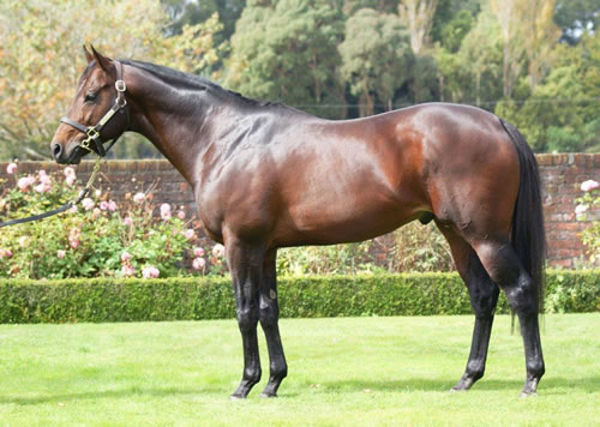 Per Incanto will stand at a fee of $55,000 inc. GST