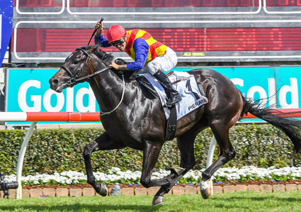 Pierro colt Pierata won the MM 3YO Guineas in 2018 before going on to be a G1 winner!