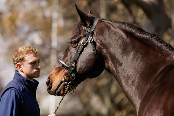 Pierro, click for more info.