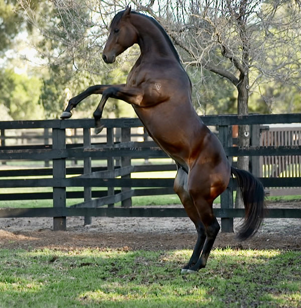 Private Life is raring to go!