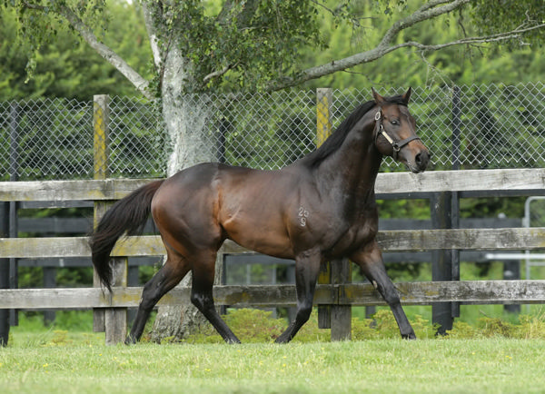 Proisir is a sire on fire!