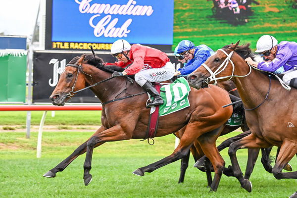 Promise of Success won the G2 Emancipation Stakes - image Steve Hart