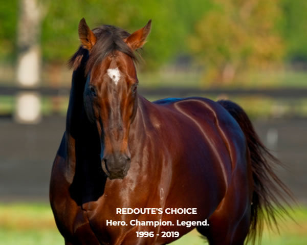 Redoute's Choice has had a profound influence on the Australian thoroughbred. 