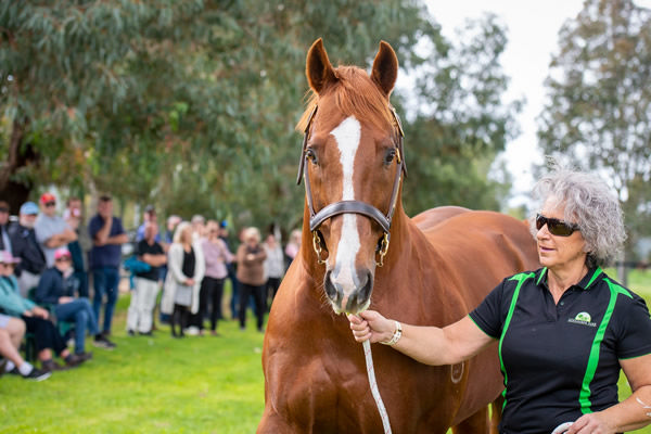 Safeguard on parade with Fiona Lacey at Mogumber Park