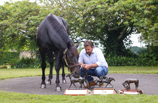 Waikato Stud’s Mark Chittick looks on as newly crowned Savabeel inspects his trophies from the 2020-21 season. Photo: Picket Fence