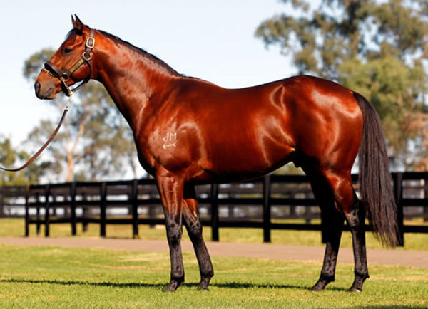 Sizzling now stands at Riverdene Stud.