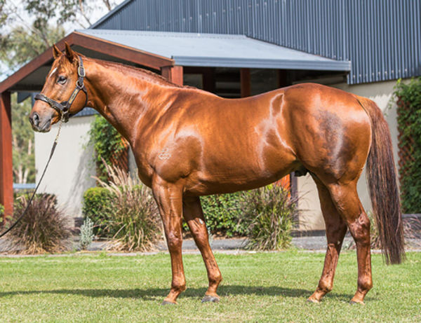 Sooboog - could be the next I Am Invincible, click for more information. 