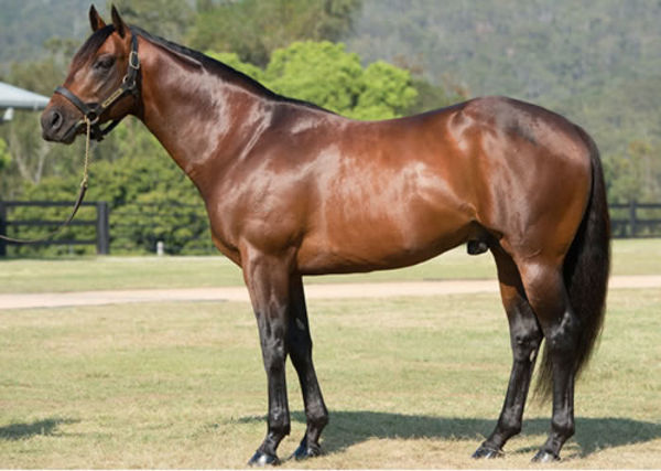Spill the Beans has sired his first winner