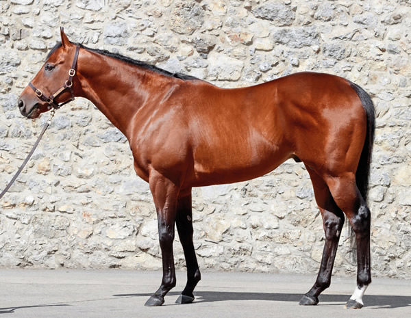Starman stands at a fee of 10,000 euros. 
