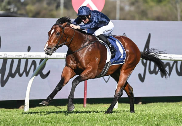 Storm Boy will stand at a fee of $16,500.