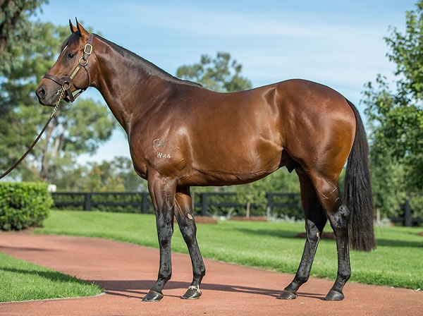 Super One sired his first winner on Friday