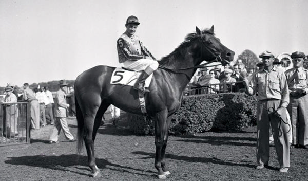 Tom Fool appears in the pedigrees of many modern Aussie Stakes-winners - image Courtesy of Keeneland-Morgan 
